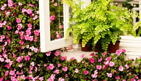 Έξυπνα tips για να πρασινίσετε το μπαλκόνι σας οικονομικά
