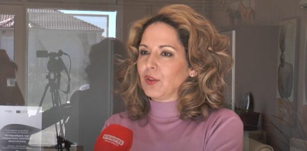 Σ. Νησιούδη: "Δεν υπάρχει λόγος για πίεση στους φορολογημένους" - video