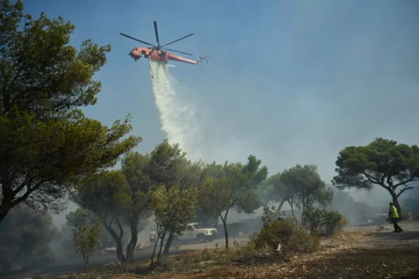 Δασική πυρκαγιά στη Ζάκυνθο – Κινητοποιήθηκαν επίγειες και εναέριες δυνάμεις