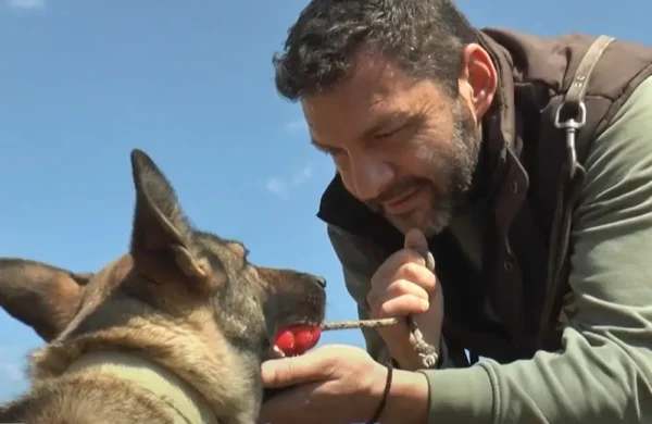 ROXY: Η τετράποδη Αστυνομικός στις υπηρεσίες της Αστυνομικής Διεύθυνσης Σερρών - video