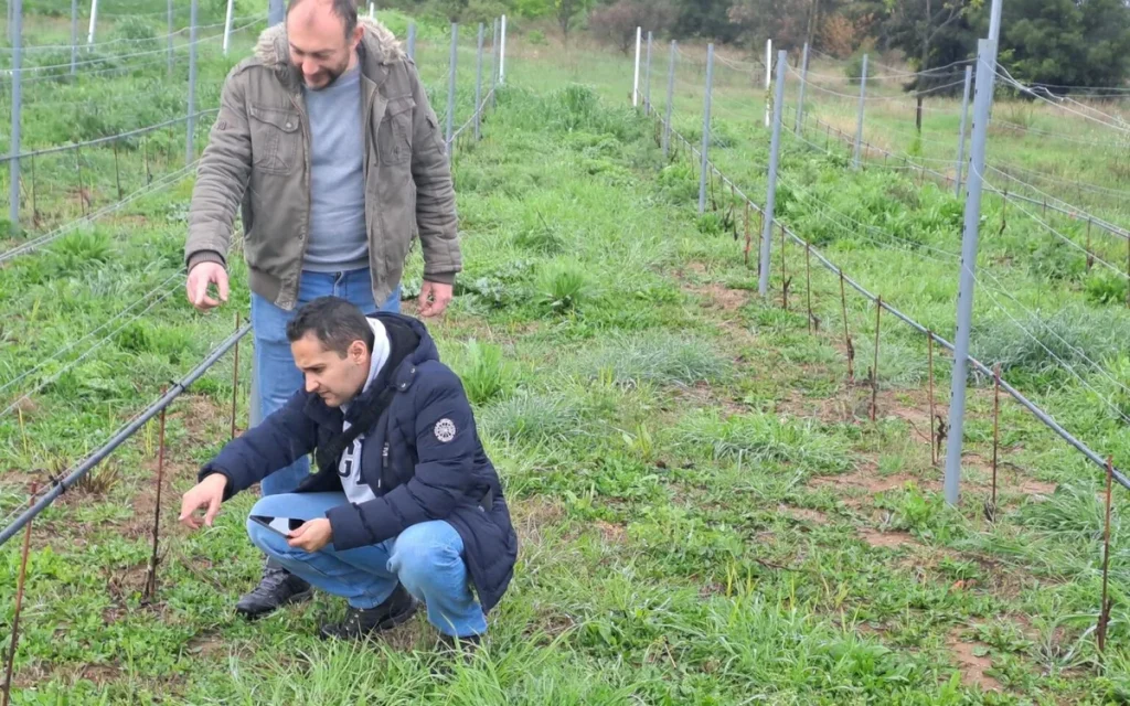 Δράμα: Μια startup φέρνει την ελληνική οινοποιία στην εποχή της τεχνίτης νοημοσύνης