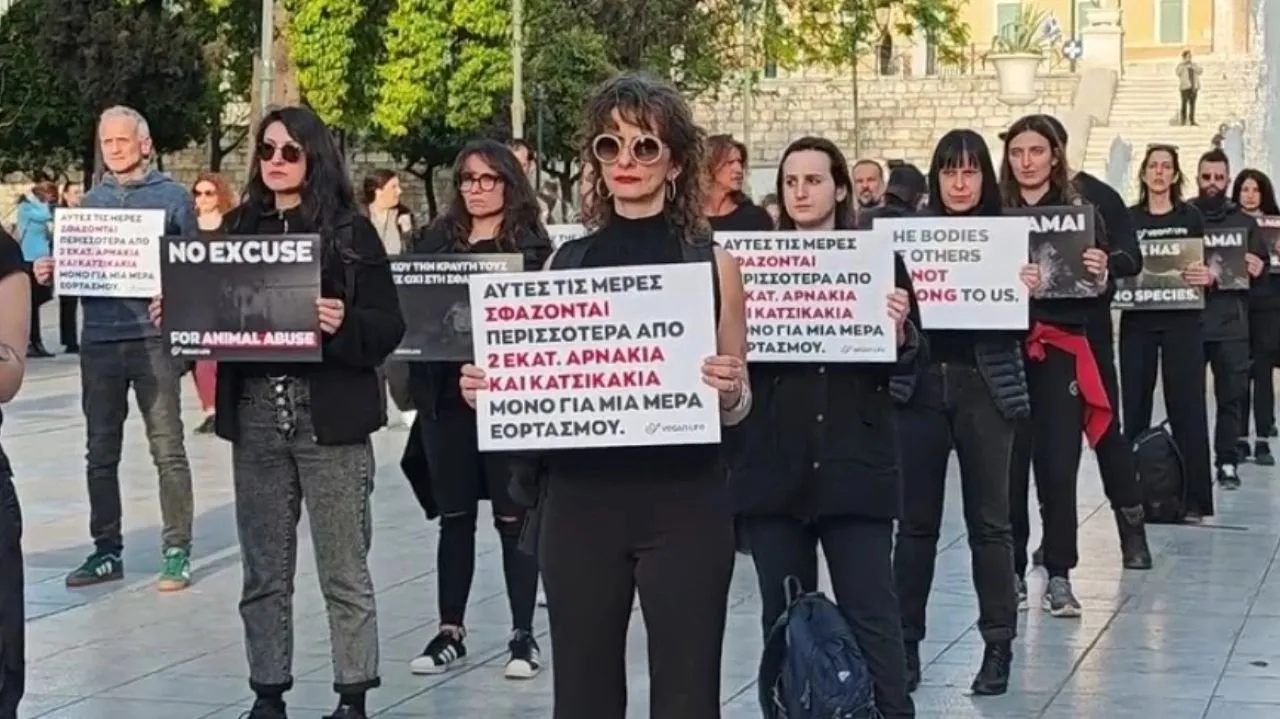Vegans διαμαρτύρονται στο Σύνταγμα κατά της σφαγής αρνιών το Πάσχα - Δείτε βίντεο