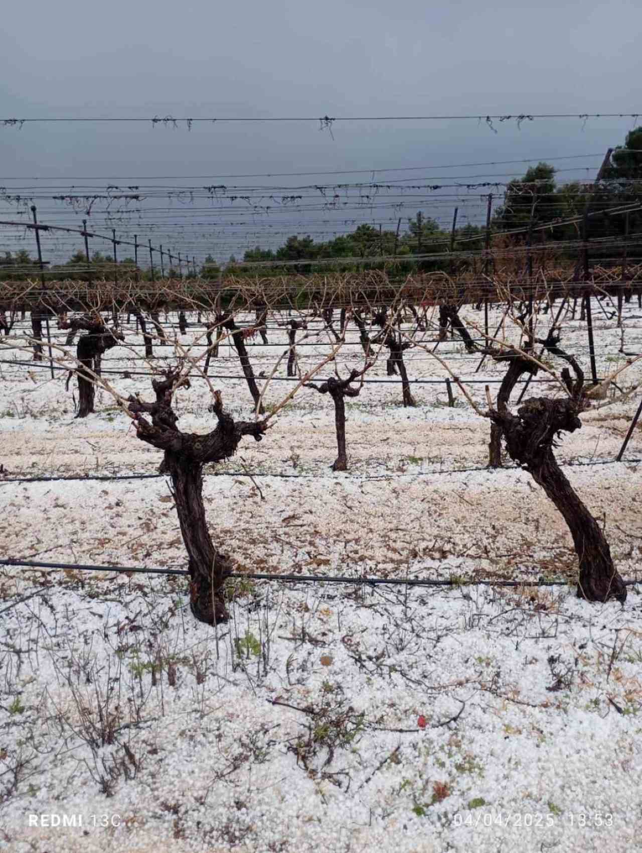 Σφοδρή χαλαζόπτωση στην Κορινθία – Ζημιές σε καλλιέργειες