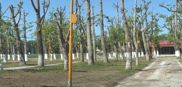 Κλ. Κοτσακιαχίδης: Φέτος τα πανηγύρια θα γίνουν κανονικά - Τι θα γίνει με τα λούνα παρκ - video