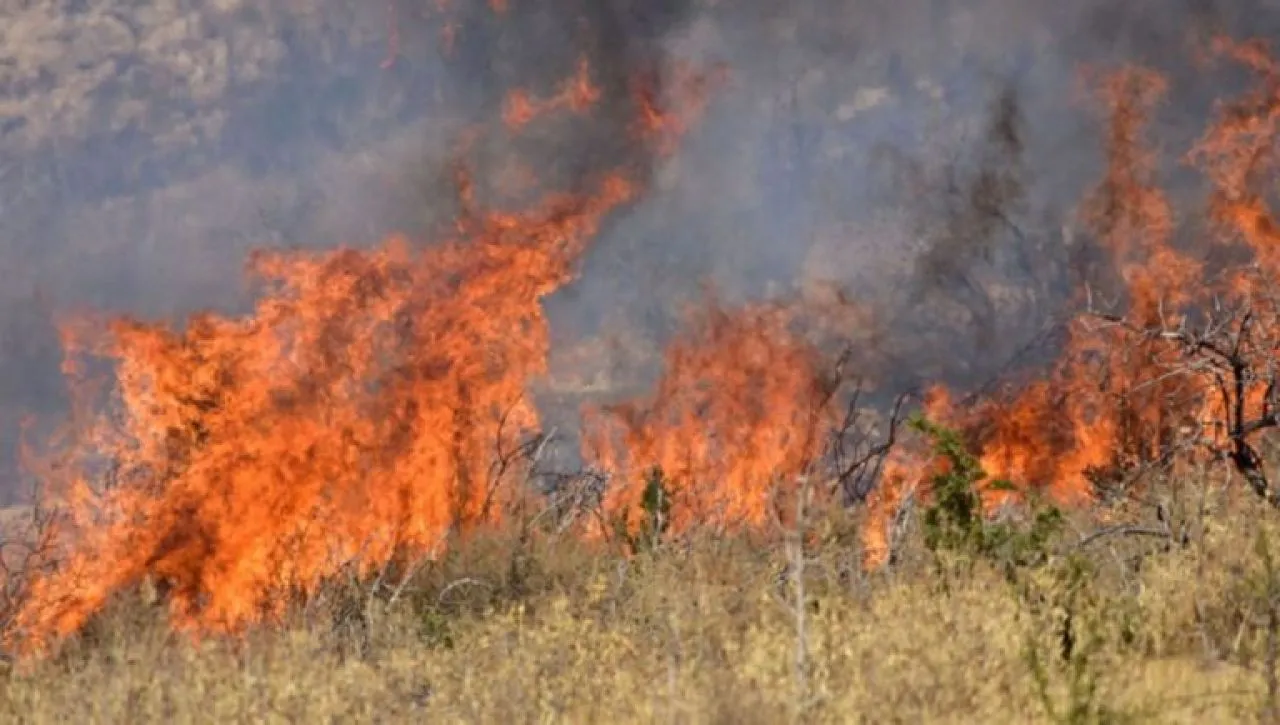 Συναγερμός για πυρκαγιά σε χαμηλή βλάστηση στην Ανάφη