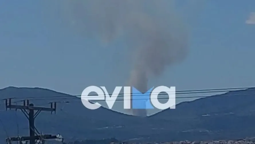 Φωτιά στη Ριτσώνα: Σηκώθηκαν ελικόπτερα και αεροσκάφη