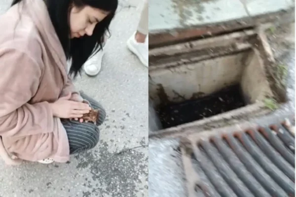 Θεσσαλονίκη: 21χρονη νοσηλεύτρια επαναφέρει στη ζωή γατάκι που είχε πέσει σε φρεάτιο (video)