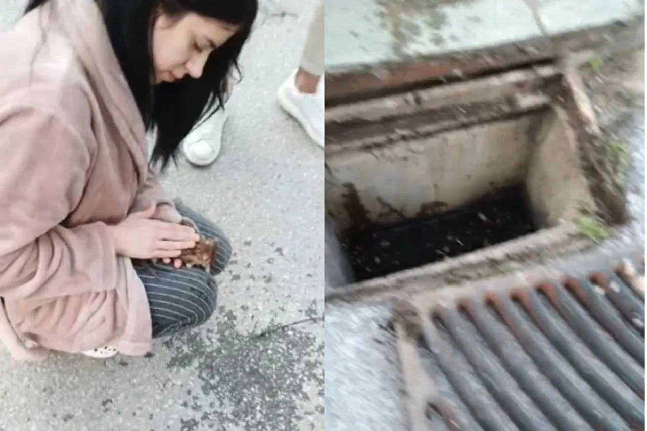 Θεσσαλονίκη: 21χρονη νοσηλεύτρια επαναφέρει στη ζωή γατάκι που είχε πέσει σε φρεάτιο (video)