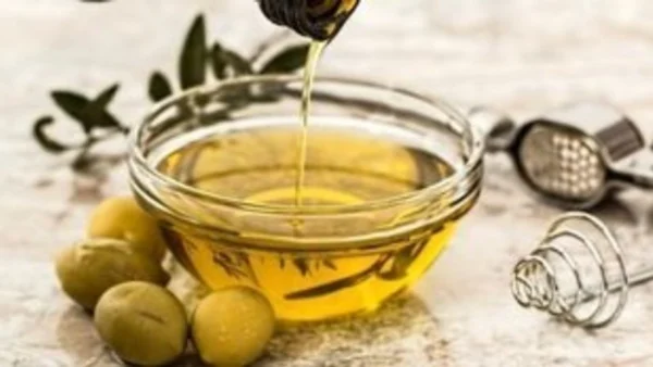 Tο αγουρέλαιο Χαλκιδικής εξαγώγιμος θυσαυρός με «όχημα» το έργο ΕλαιΟΡΑΜΑ