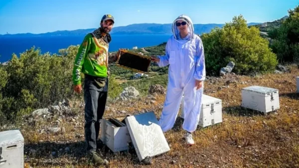 Ζευγάρι μελισσοκόμων εγκατέλειψε την Αθήνα και αφιέρωσε τη ζωή του στις μέλισσες