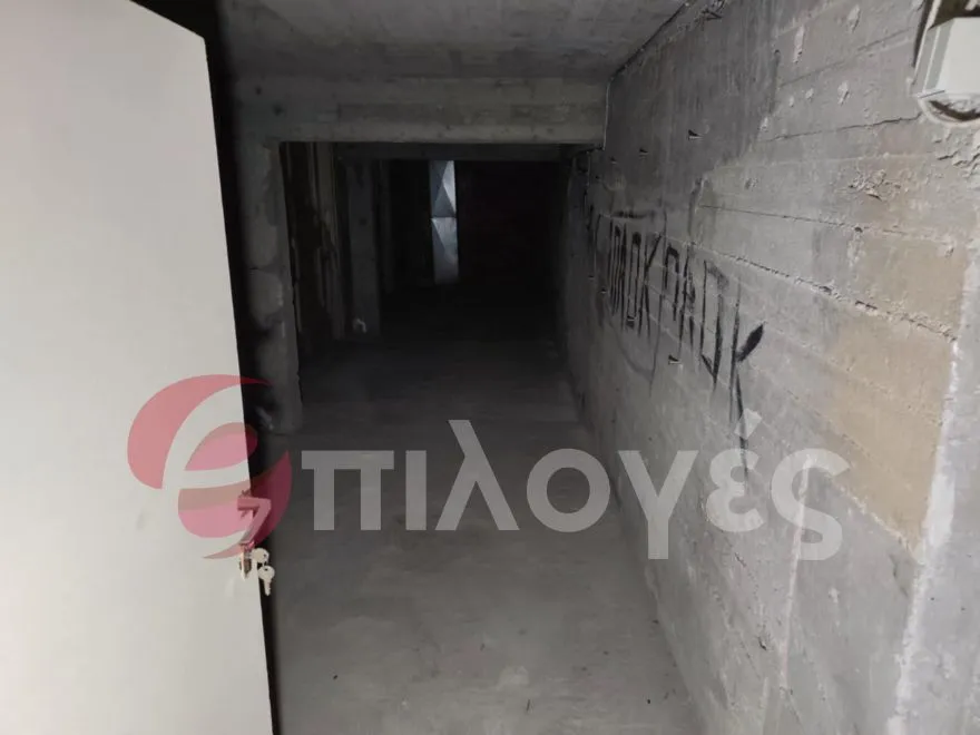 Σέρρες: Εθελοντές έπιασαν δουλειά και καθάρισαν το ιστορικό κτήριο του Ορφέα - φωτογραφίες