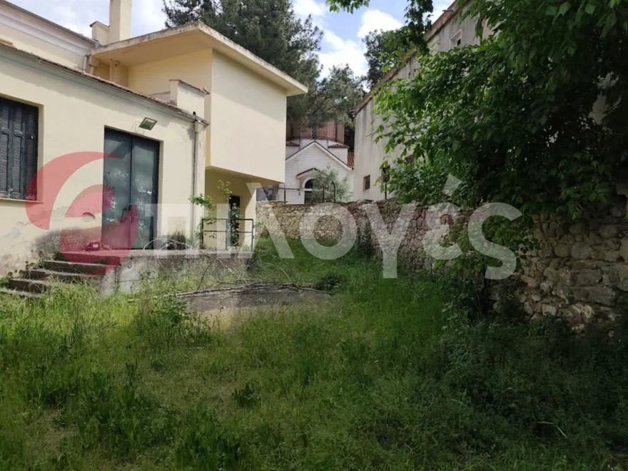 Σέρρες: Εθελοντές έπιασαν δουλειά και καθάρισαν το ιστορικό κτήριο του Ορφέα - φωτογραφίες