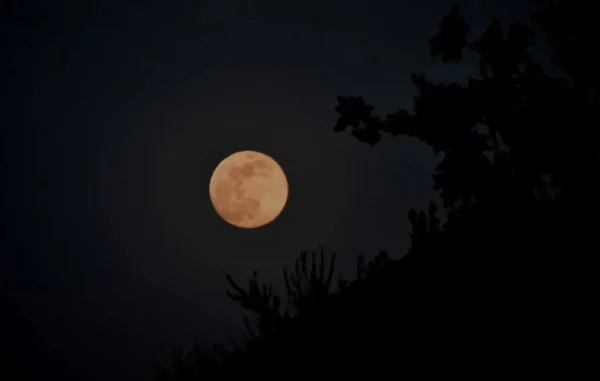 Η Πανσέληνος των Λουλουδιών φωτίζει απόψε τον νυχτερινό ουρανό – Τι πρέπει να γνωρίζουν οι παρατηρητές