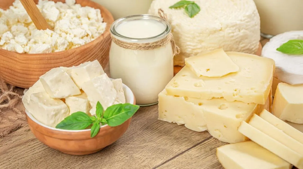 τυριά Τυριά χωρίς λακτόζη: Όλα όσα χρειάζεται να γνωρίζεις