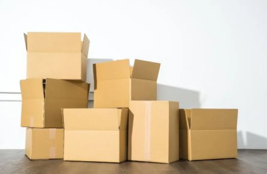 6 πράγματα που δεν πρέπει να αποθηκεύετε σε χαρτόκουτα – Οι ειδικοί εξηγούν γιατί