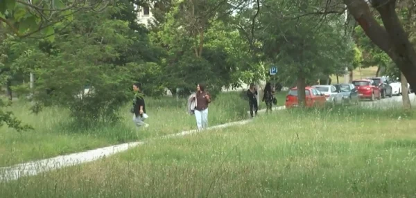 Ακούρευτα τα χόρτα στον αύλειο χώρο του Νοσοκομείου Σερρών - video