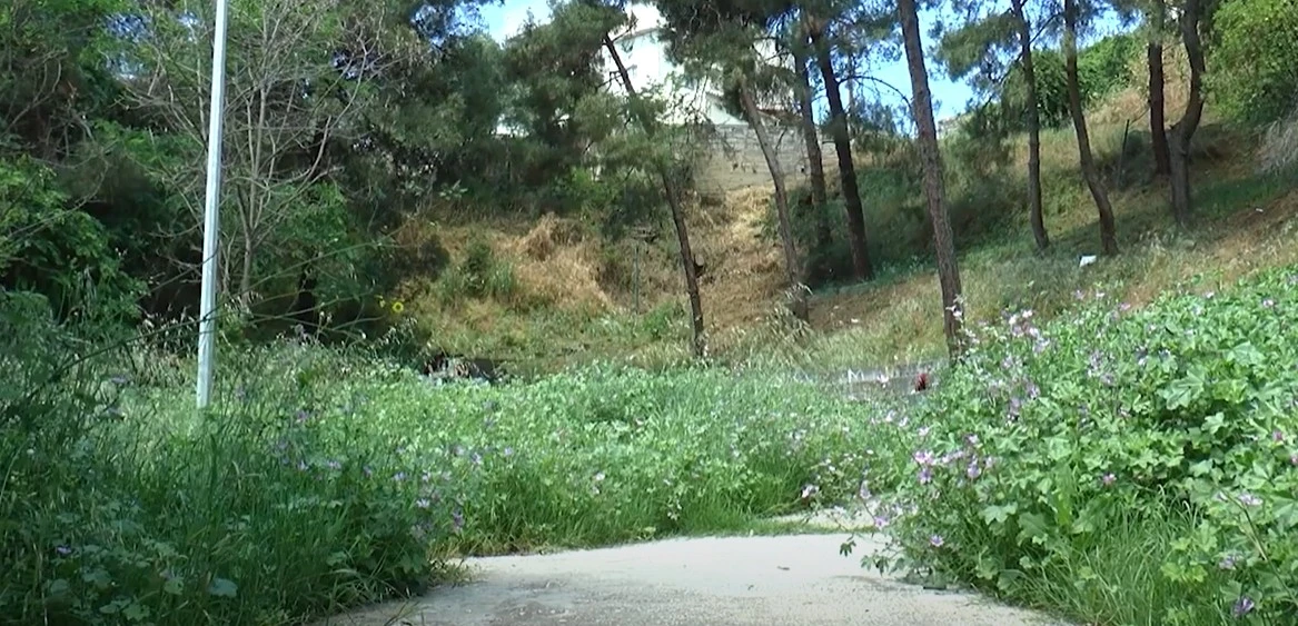 Σέρρες: Ακούρευτα τα χόρτα στο θερινό θεατράκι Καλλιθέας - video