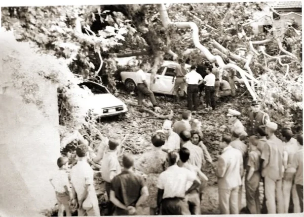 Σέρρες: Όταν τον Σεπτέμβριο του 1965 θρηνήσαμε νεκρό από ξαφνική πτώση αιωνόβιου πλάτανου στον Αη Γιάννη