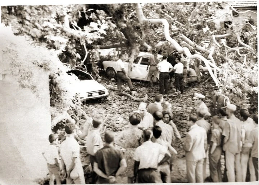 Σέρρες: Όταν τον Σεπτέμβριο του 1965 θρηνήσαμε νεκρό από ξαφνική πτώση αιωνόβιου πλάτανου στον Αη Γιάννη 2 Σέρρες: Όταν τον Σεπτέμβριο του 1965 θρηνήσαμε νεκρό από ξαφνική πτώση αιωνόβιου πλάτανου στον Αη Γιάννη