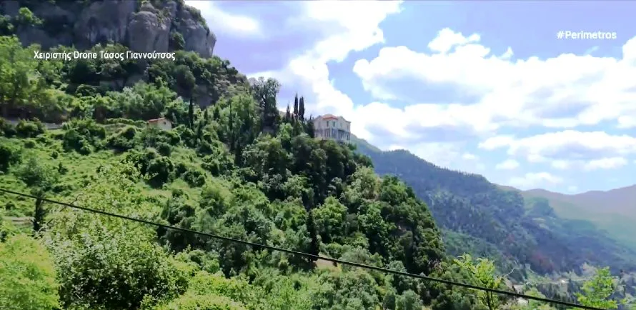 Γιατί ξεραίνονται τα έλατα στην Πελοπόννησο;