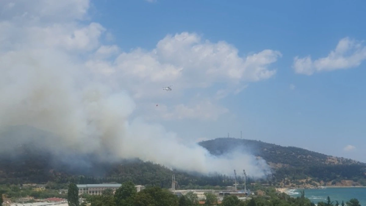Καβάλα: Έσβησε η φωτιά που ξέσπασε στην ανατολική είσοδο της πόλης