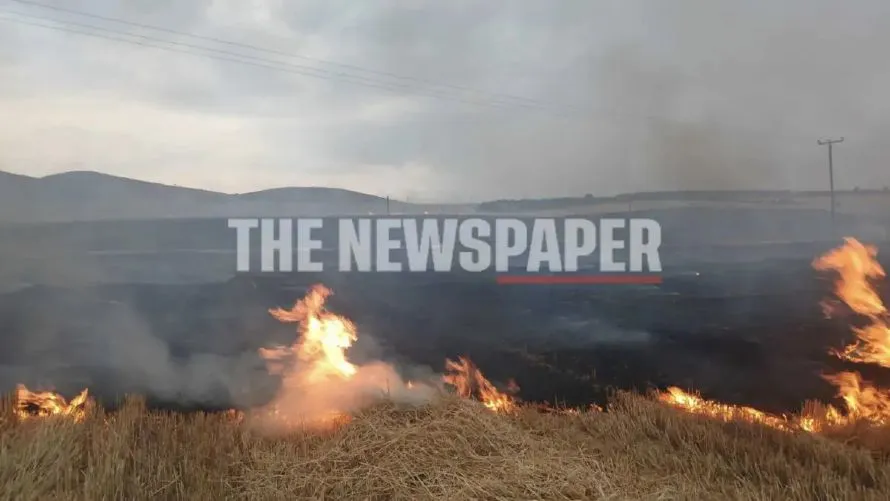 Φωτιά στη Μαγνησία στο Δήμο Ρήγα Φεραίου – Έκκληση στους κατοίκους για προσοχή