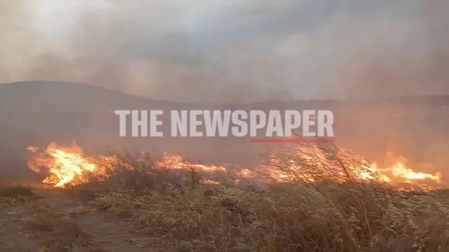 Φωτιά στη Μαγνησία στο Δήμο Ρήγα Φεραίου – Έκκληση στους κατοίκους για προσοχή