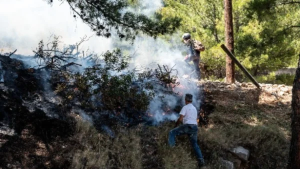 Φωτιά στη Χίο: Εξετάζεται σοβαρότατα το ενδεχόμενο οργανωμένης εγκληματικής ενέργειας