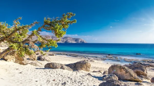 Παραλία Κεδρόδασος: Ένας από τους τελευταίους ανέγγιχτους παράδεισους - video