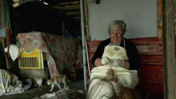 «Κυρά του Δέλτα» Έβρου - Με παρέμβαση του πρωθυπουργού ηλεκτροδοτήθηκε η καλύβα που ζει επί 45 χρόνια