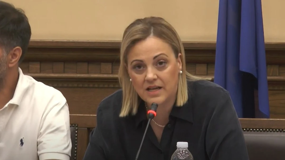 Β. Μητλιάγκα: "Οι τζάμπα μάγκες τελείωσαν - Όποιος έχει να πει κάτι να το πει στον εισαγγελέα" - video