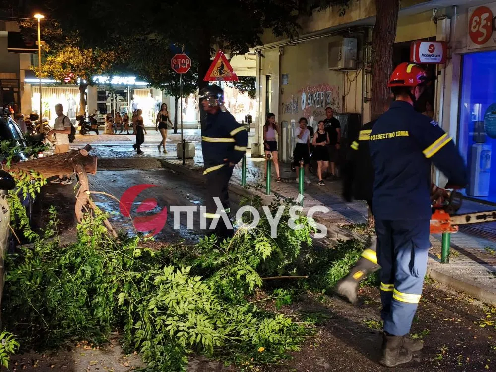 Σέρρες: Ξεριζώθηκε δέντρο και καταπλάκωσε αυτοκίνητο - Δείτε φωτογραφίες