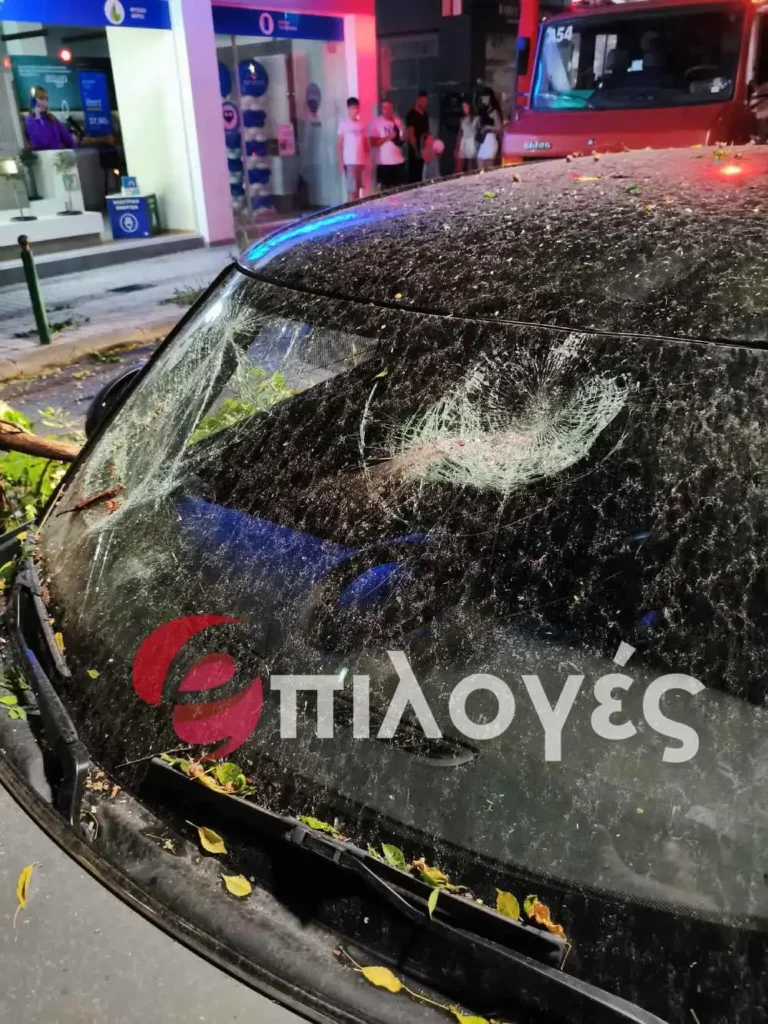 Σέρρες: Ξεριζώθηκε δέντρο και καταπλάκωσε αυτοκίνητο - Δείτε φωτογραφίες