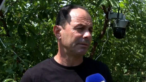 Πέλλα: Με κάμερες και security προσπαθούν να προστατεύσουν τη σοδειά τους οι αγρότες