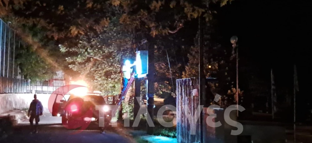 Σέρρες: Σκίστηκε στα δυο και έπεσε τεράστιος αιωνόβιος πλάτανος - Δείτε φωτογραφίες και video