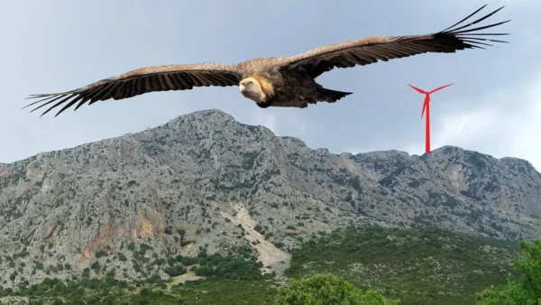 «Ενεργειακές Κοινότητες» Ακαρνανικών: Το ΥΠΕΝ αναγνωρίζει έμμεσα την ύπαρξη γκρίζων σημείων