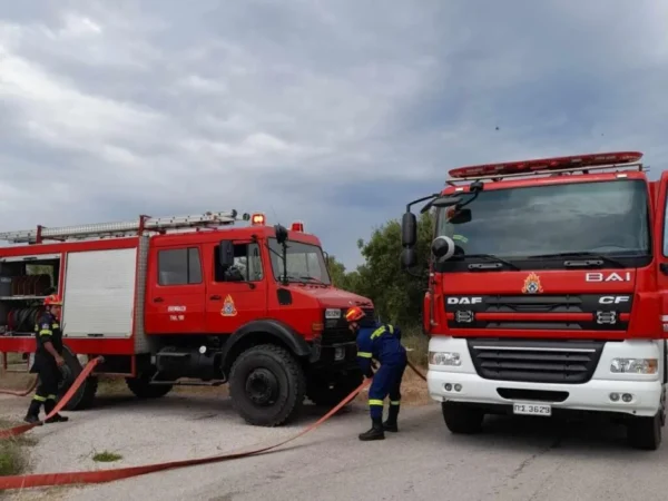 Πυρκαγιά σε δασική έκταση στη Νάξο