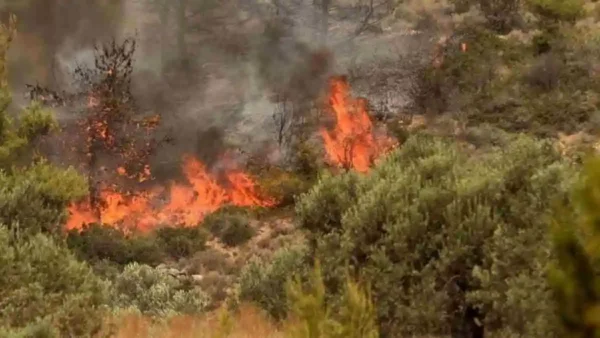 Υψηλός ο κίνδυνος πυρκαγιάς στον Δήμο Σερρών: Σε ετοιμότητα όλες οι συναρμόδιες υπηρεσίες