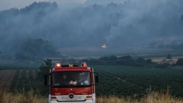 Πυροσβεστική: 48 αγροτοδασικές πυρκαγιές σε 24 ώρες