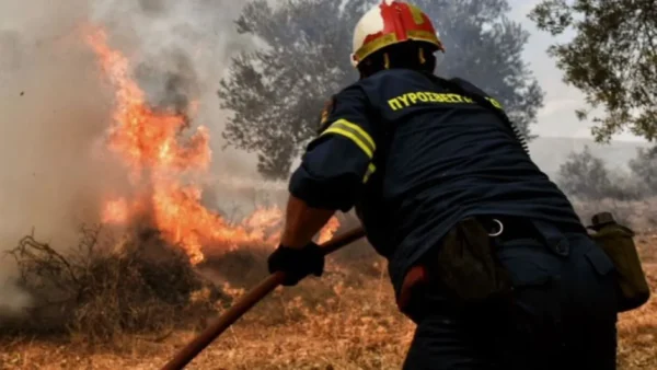 Πυροσβεστική: 41 αγροτοδασικές πυρκαγιές το τελευταίο 24ωρο σε όλη τη χώρα