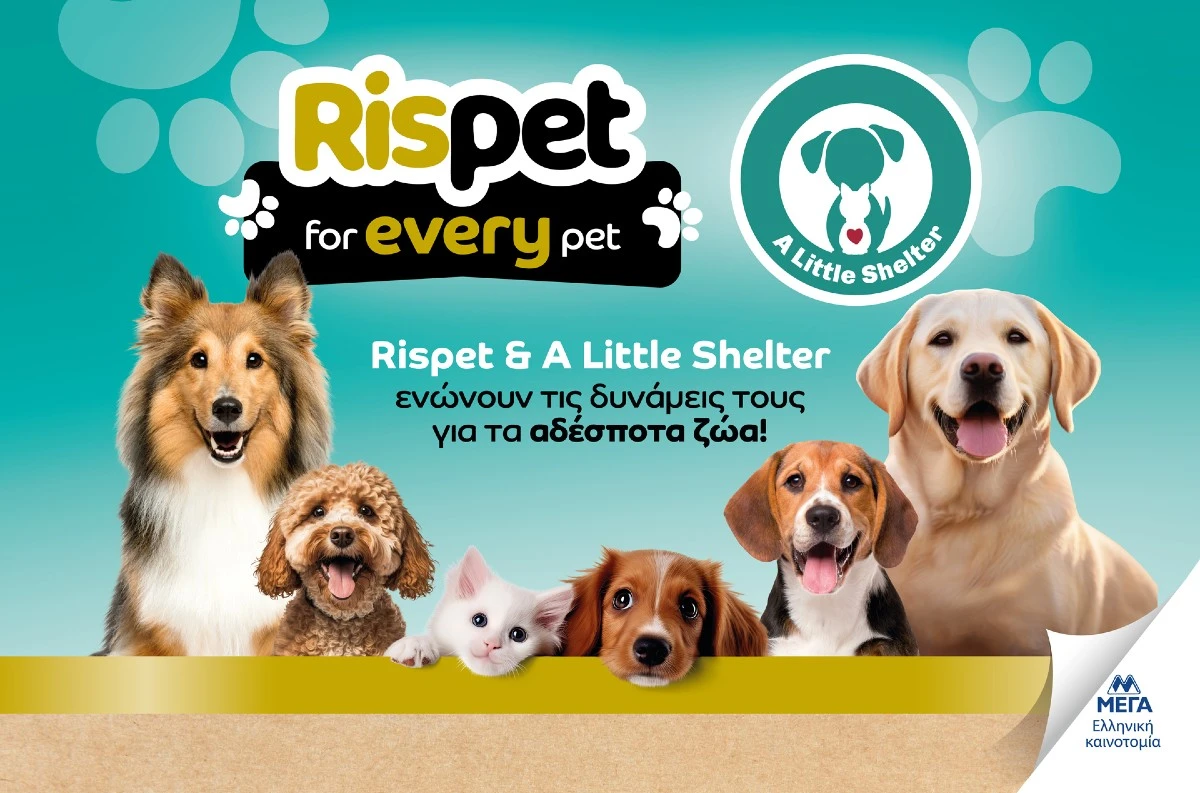 Rispet & A Little Shelter ενώνουν τις δυνάμεις τους για τα αδέσποτα ζώα