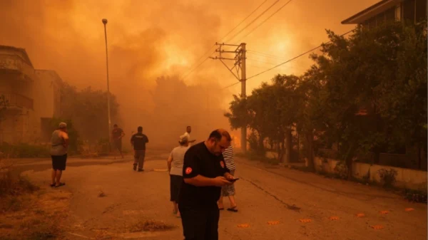 Ο Υπουργός Περιβάλλοντος και Πολεοδομίας της Τουρκίας Μουράτ Κουρούμ δήλωσε ότι στις δασικές πυρκαγιές που εκδηλώθηκαν στο Μπιλετσίκ, σε 3 χωριά καταστράφηκαν 23 σπίτια και συνολικά 47 μονάδες, ενώ 41 σπίτια και 25 στάβλοι ή αποθήκες υπέστησαν σοβαρές ζημιές. Στη Σμύρνη, οι ισχυροί άνεμοι επέκτειναν τη φωτιά μέχρι το Οτοκέντ Γκαλεριτζίλερ Σίτεσι στην περιοχή Μπούτσα. Στο Μεντερές, οι κάτοικοι πέντε συνοικιών που απειλήθηκαν από τις φλόγες αναγκάστηκαν να εγκαταλείψουν τα σπίτια τους.