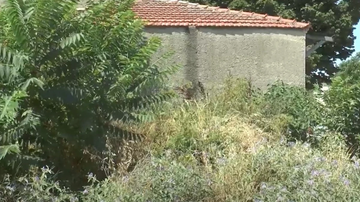 Δήμος Σερρών: Έληξε η προθεσμία για καθαρισμό οικοπέδων - Ξεκινούν οι έλεγχοι - video