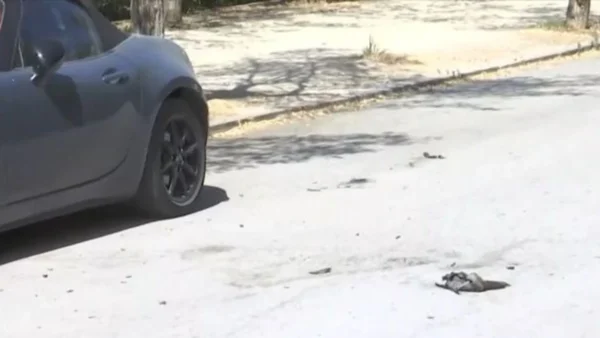 Μια γυναίκα αυτοπυρπολήθηκε μπροστά από την Αίγλη Ζαππείου
