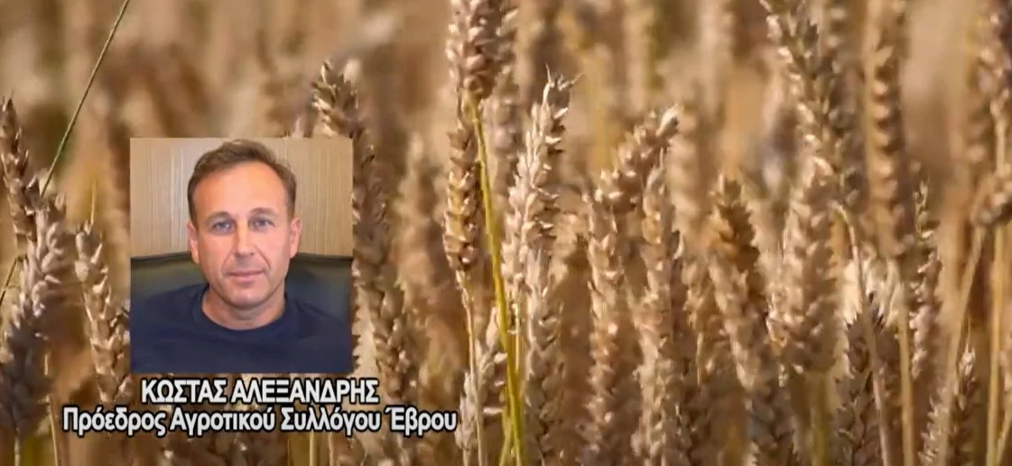 Με κατάρρευση απειλείται ο κάμπος του νότιου Έβρου: 84.000 στρέμματα στο έλεος της λειψυδρίας - video