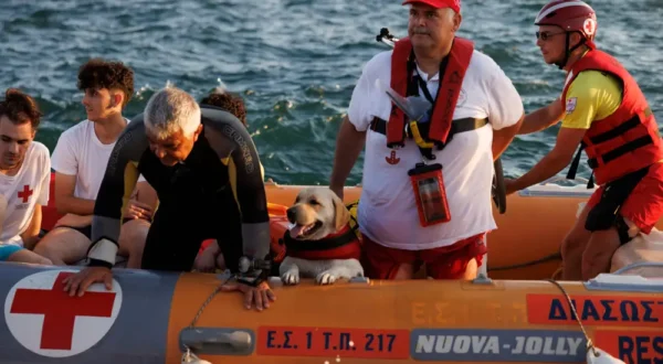 Θεσσαλονίκη: Άσκηση διάσωσης σε ναυτικό ατύχημα πραγματοποιήθηκε στο Θερμαϊκό