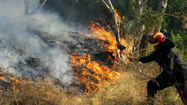 Σύλληψη για πρόκληση πυρκαγιάς σε ξερά χόρτα στη Θέρμη - Πρόστιμα και σε άλλες περιπτώσεις