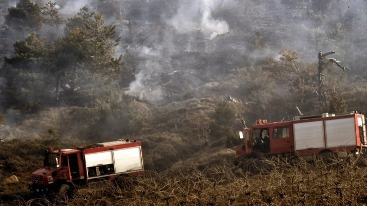 Καλύτερη εικόνα παρουσιάζουν οι φωτιές στο Κιλκίς