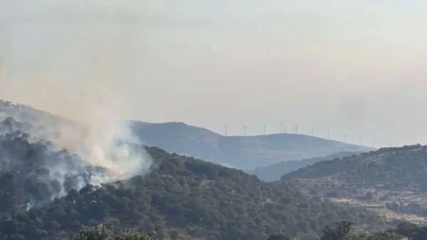 Φωτιά στο Σκαλοχώρι Λέσβου: Πνέουν ισχυροί άνεμοι - Μεγάλη κινητοποίηση της πυροσβεστικής
