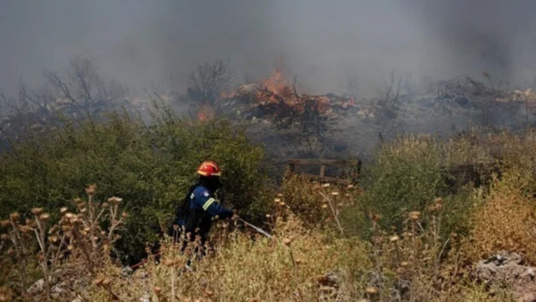 Οριοθετήθηκε η φωτιά στην περιοχή της Αρέθουσας του δήμου Βόλβης